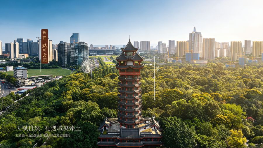 1772614840873896sPWn.jpg 鍥剧墖 1.jpg