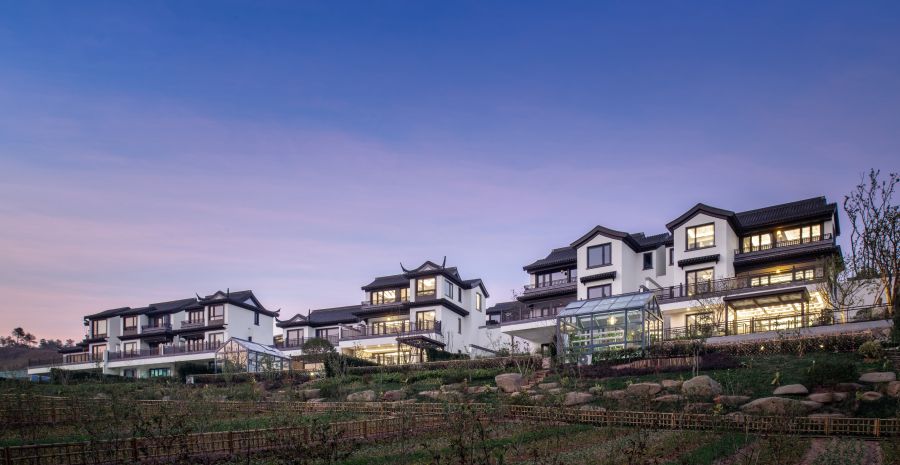 1772615617120216G2rA.jpg DSC_1885-1.jpg